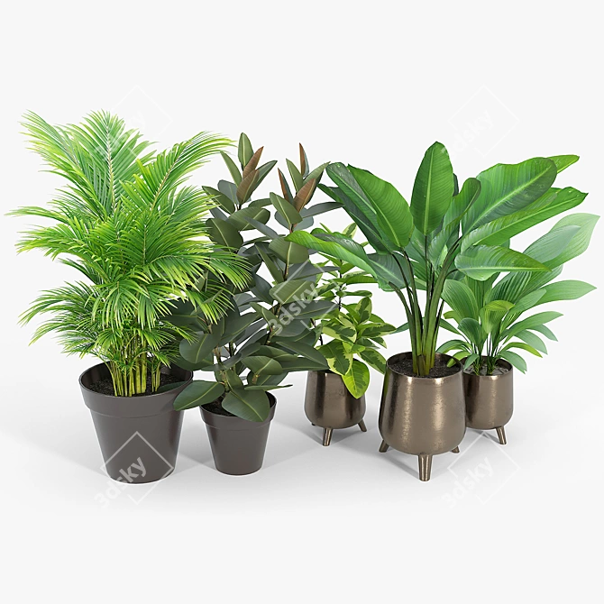 Lifelike Calathea Décor: Faux Potted Elegance 3D model image 3