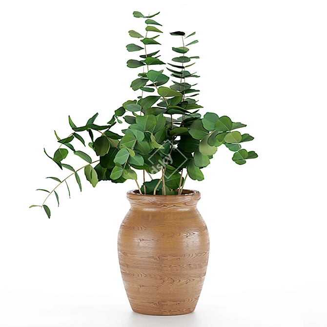 Elegant Eucalyptus in Wood Vase 3D model image 1