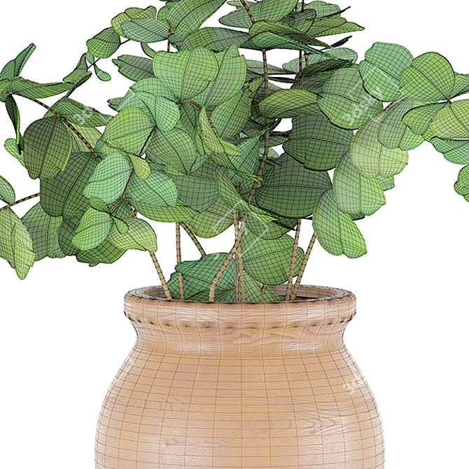 Elegant Eucalyptus in Wood Vase 3D model image 2