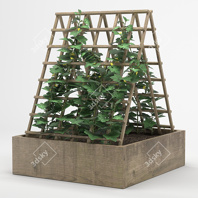 Cucumber Tree Pot 3D model image 1