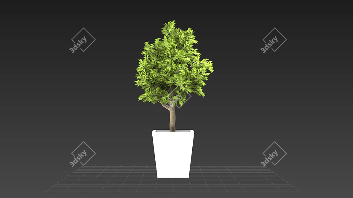 Mini Indoor Tree 3D model image 2