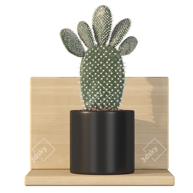 Prickly Pear Cactus 3D Models 3D model image 1