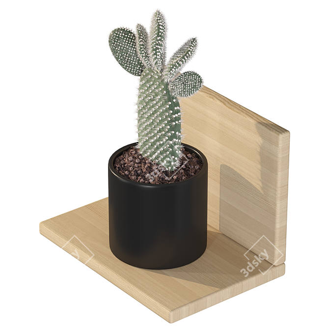 Prickly Pear Cactus 3D Models 3D model image 2