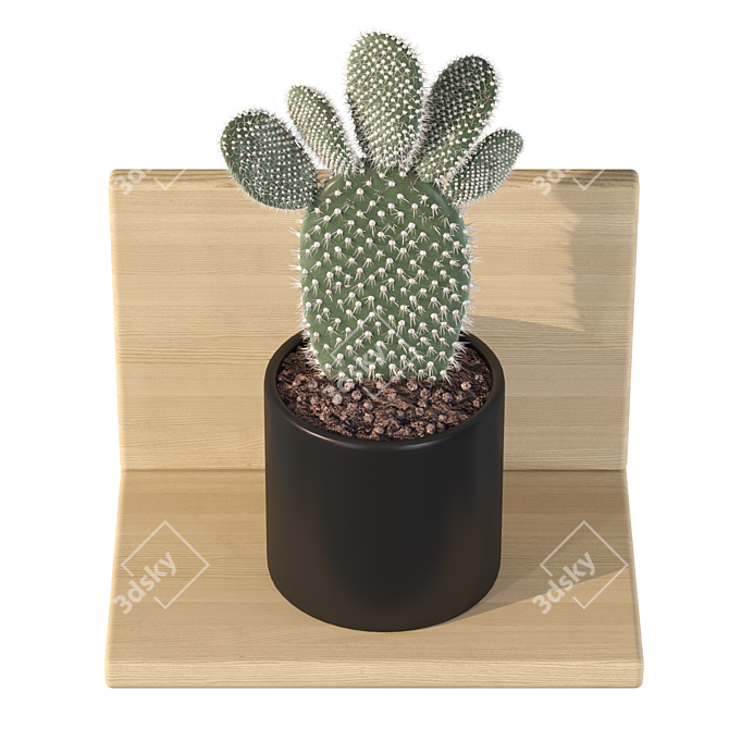 Prickly Pear Cactus 3D Models 3D model image 3