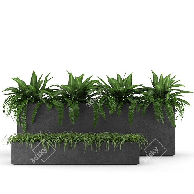 Indoor Outdoor Plant Collection 3D model image 1