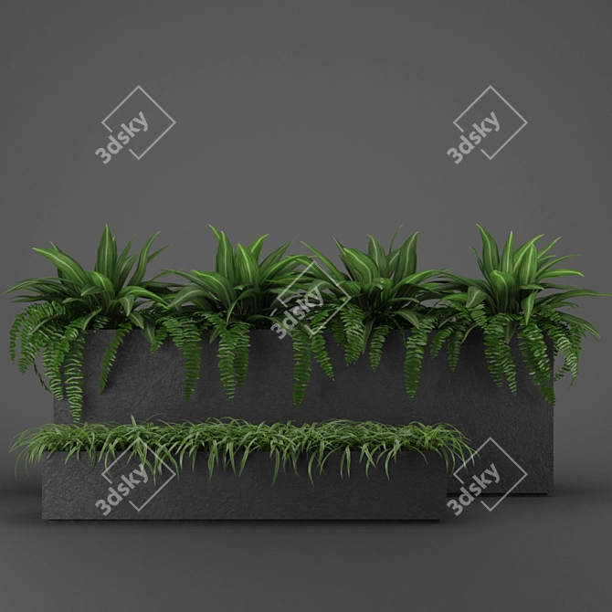 Indoor Outdoor Plant Collection 3D model image 3