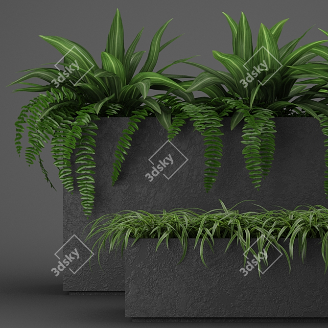 Indoor Outdoor Plant Collection 3D model image 4