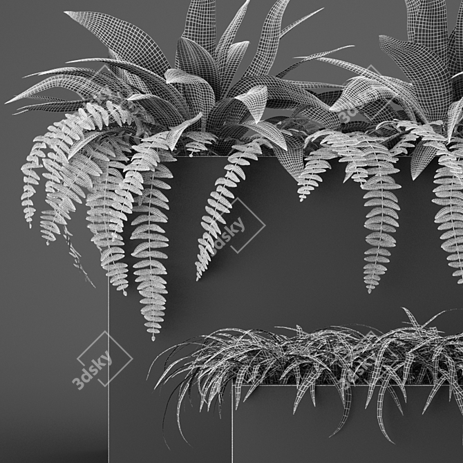 Indoor Outdoor Plant Collection 3D model image 5