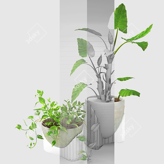 Tropical Botanical Duo: Epipremnum Alocasia 3D model image 2