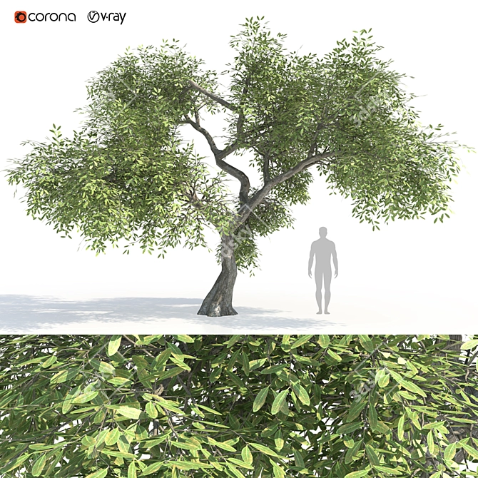 Greenery Bliss: 3D Tree Model 3D model image 1