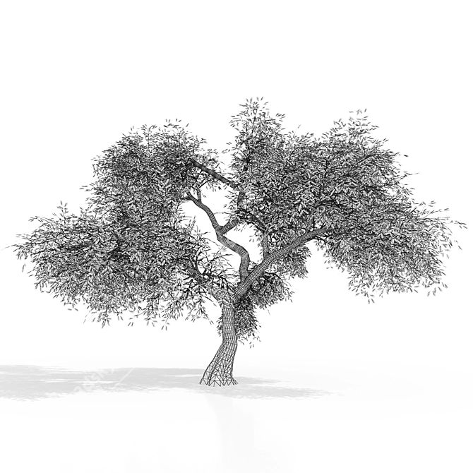 Greenery Bliss: 3D Tree Model 3D model image 2