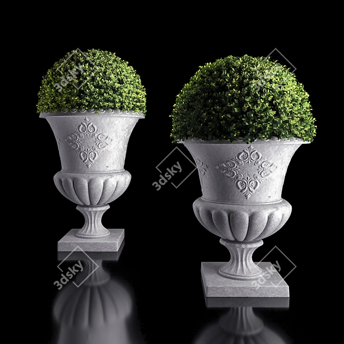 Concrete Urn Boxwood Planter 3D model image 1