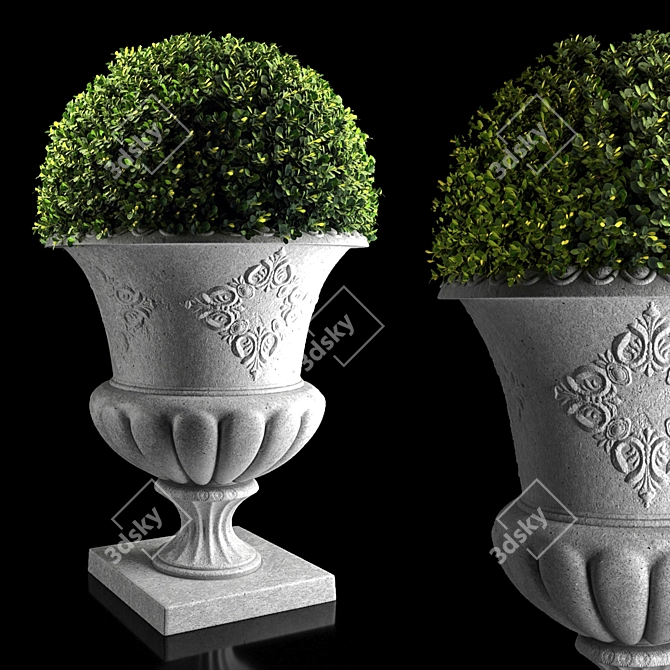 Concrete Urn Boxwood Planter 3D model image 2