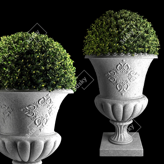 Concrete Urn Boxwood Planter 3D model image 3