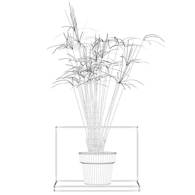 Tropical Charm: Cyperus Papyrus 3D model image 5