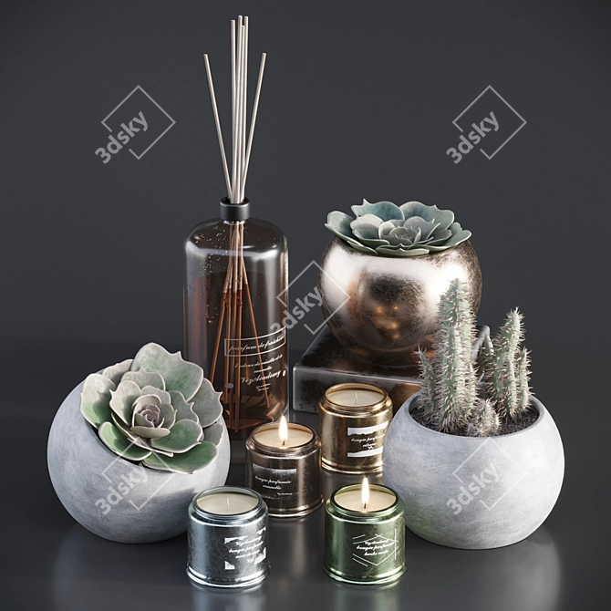 Elegant Home Accents Set 3D model image 1