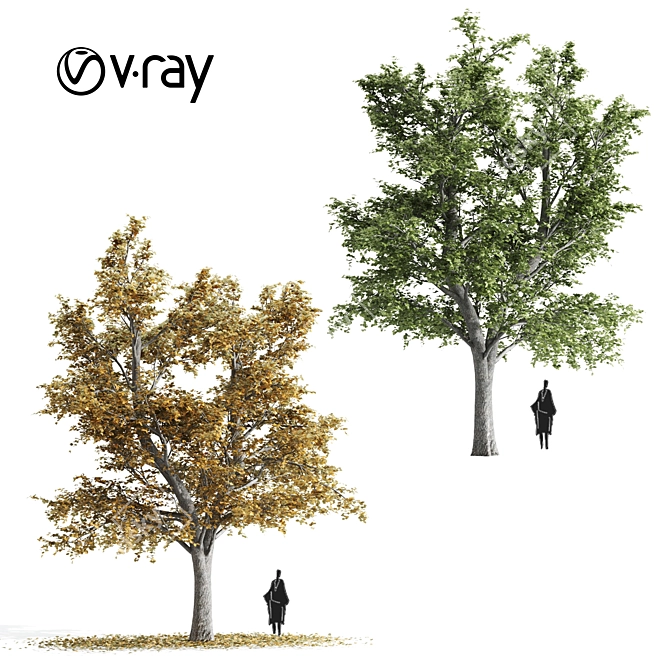 9m Tilia Tree Set: Summer & Fall 3D model image 1