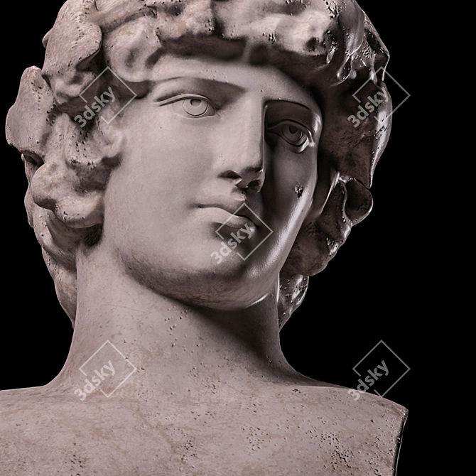 Antinous Bust Replica: Museum-Quality Masterpiece 3D model image 3