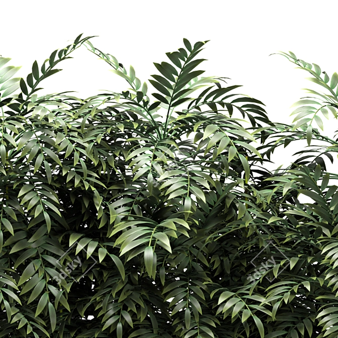 275 Plants: 3DS Max & OBJ 3D model image 3