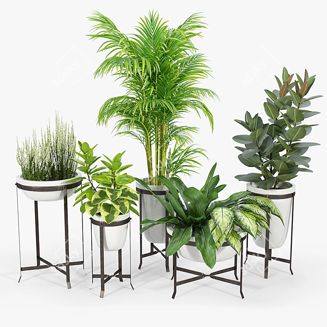 Amir Poly Planter Set 3D model image 4