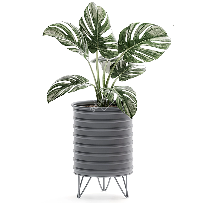 Tropical Plant Collection: Exotic Indoor Decor 3D model image 2