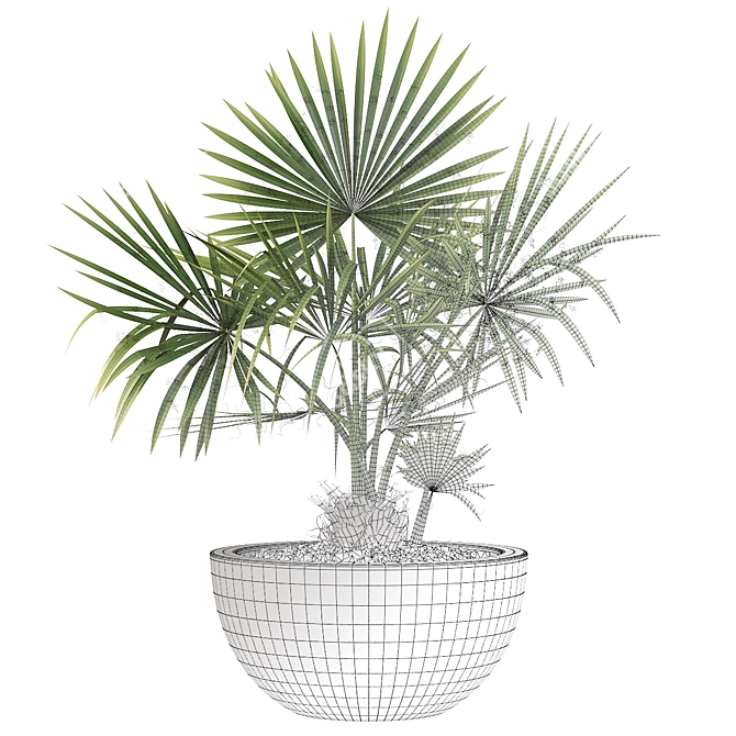 Lush Palm Tree 3D Model 3D model image 2