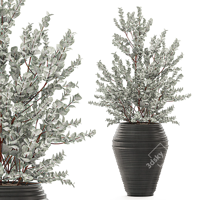 Exotic Indoor Plant Collection: Eucalyptus Cinerea & More 3D model image 2