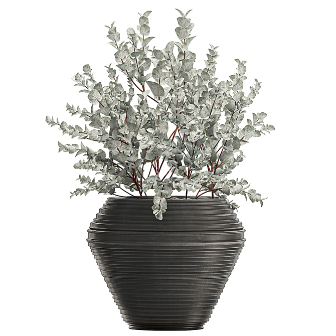 Exotic Indoor Plant Collection: Eucalyptus Cinerea & More 3D model image 4