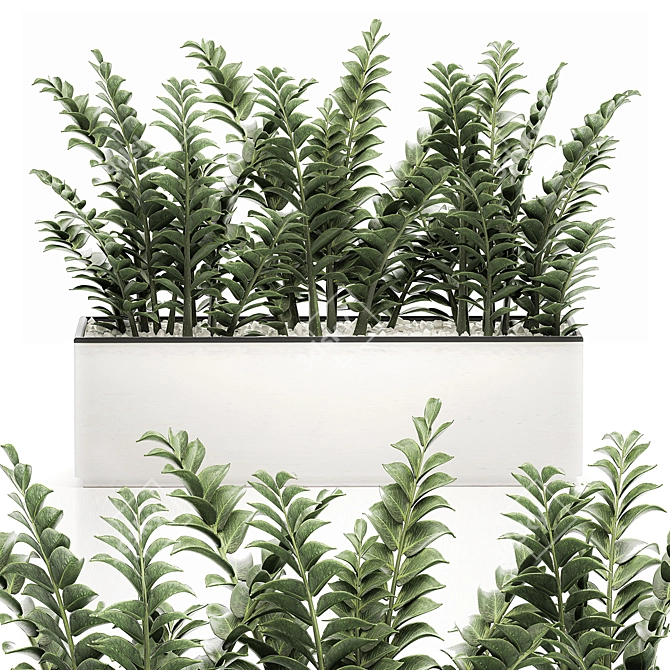 Tropical Plant Collection in White Pots 3D model image 1