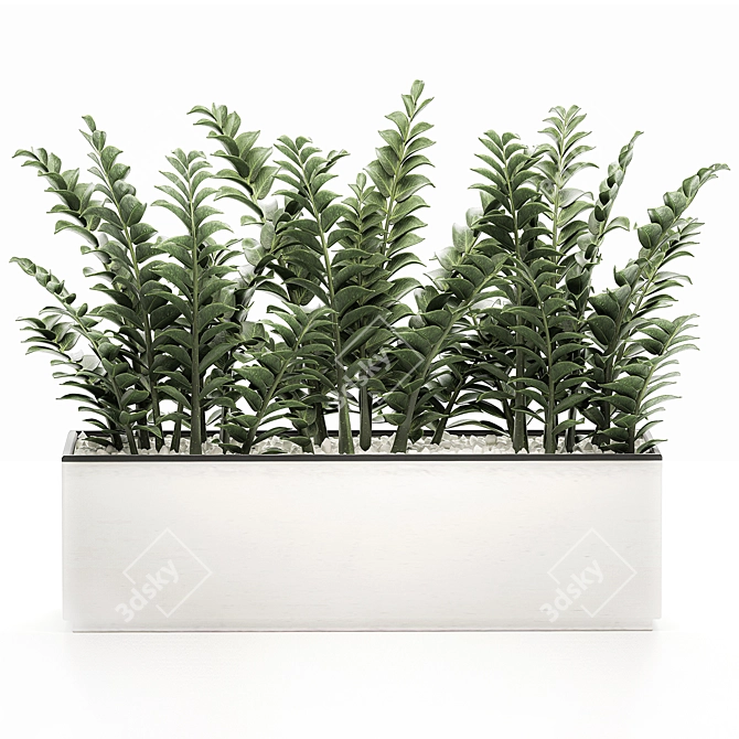 Tropical Plant Collection in White Pots 3D model image 2