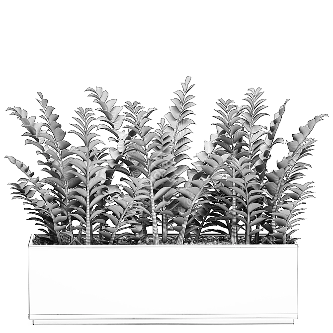 Tropical Plant Collection in White Pots 3D model image 5