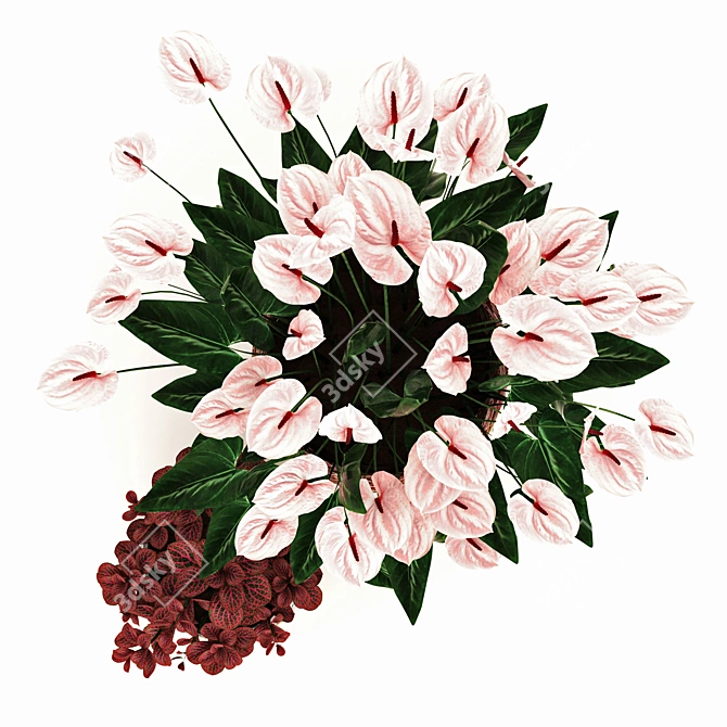 Tropical Elegance: Anthurium and Fittonia 3D model image 2