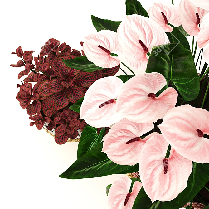 Tropical Elegance: Anthurium and Fittonia 3D model image 6