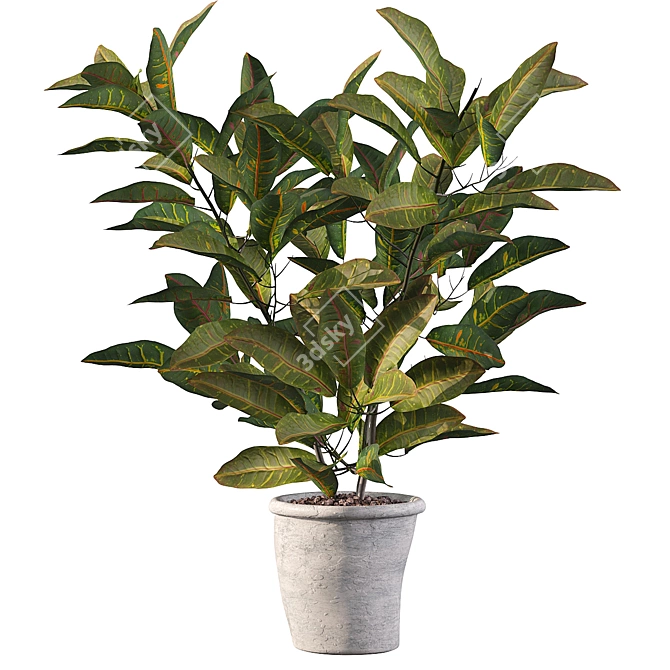 Tropical Paradise: Croton Plant 3D model image 5