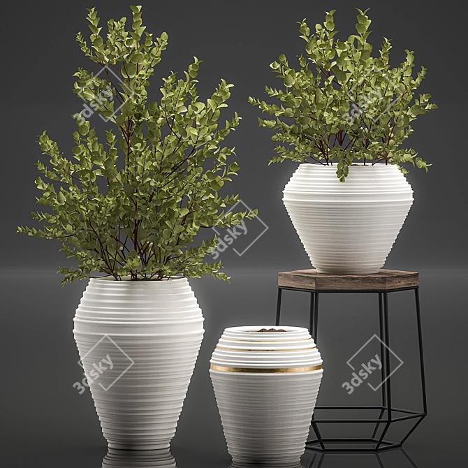 Exotic Indoor Plant Collection 3D model image 1