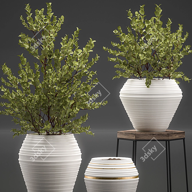 Exotic Indoor Plant Collection 3D model image 3