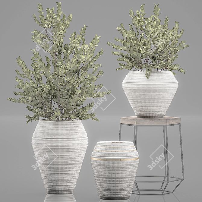 Exotic Indoor Plant Collection 3D model image 4