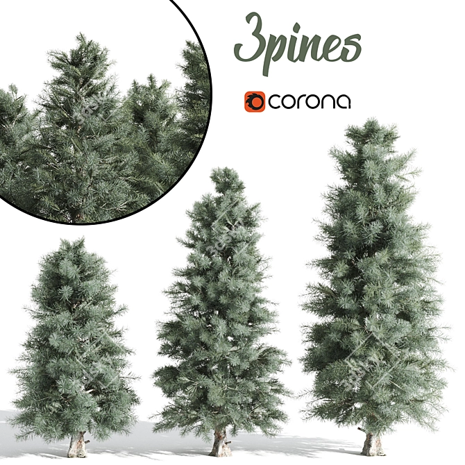  Majestic Pine Trees - Various Heights 3D model image 1