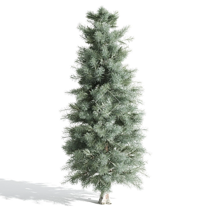  Majestic Pine Trees - Various Heights 3D model image 3