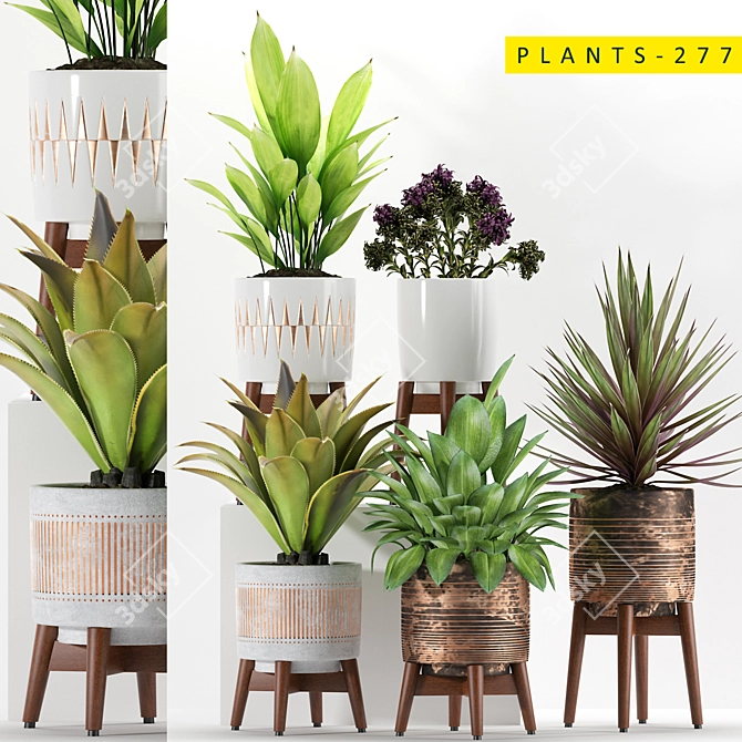 277 Plant Collection: Realistic 3D Models 3D model image 1