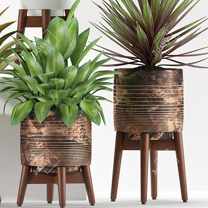 277 Plant Collection: Realistic 3D Models 3D model image 3