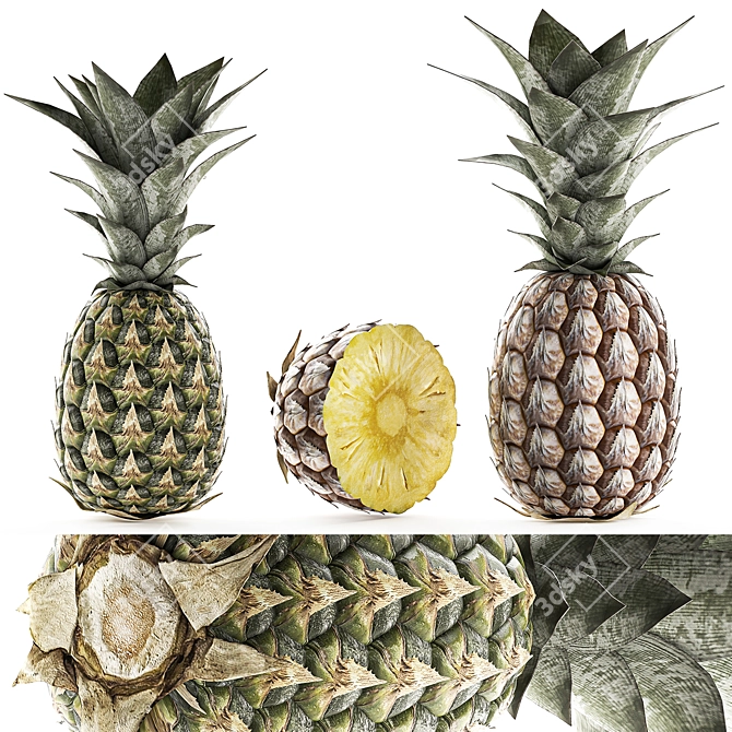 Tropical Pineapple Fruit Collection 3D model image 2