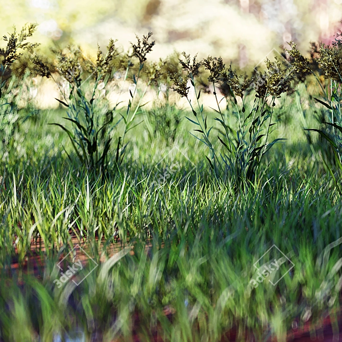 Lush Green Grass Model 3D model image 2