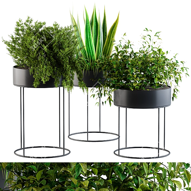 Sleek Black Planter Box 3D model image 1