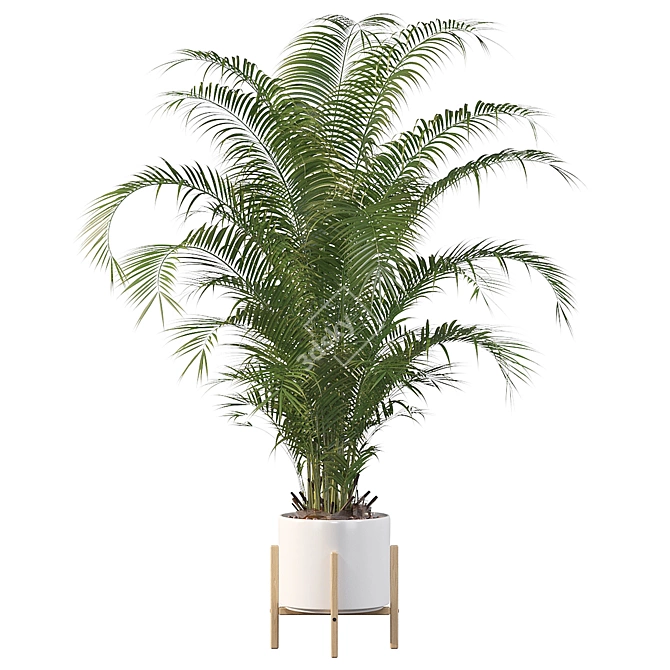 Tropical Paradise: Areca Palm 3D model image 3