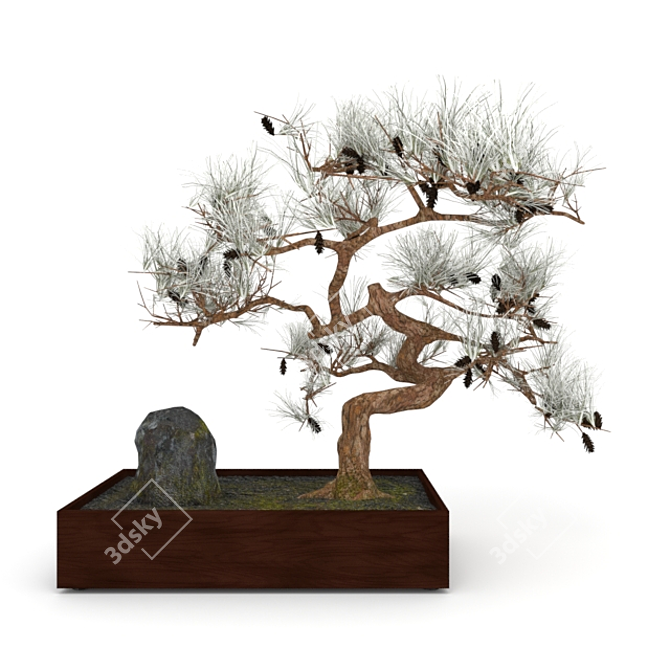 Elegant Bonsai Set for Stunning Decor 3D model image 3