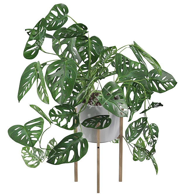 Tropical Monstera Monkey Mask: Stunning 3D Plant 3D model image 3