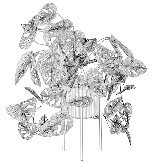 Tropical Monstera Monkey Mask: Stunning 3D Plant 3D model image 4