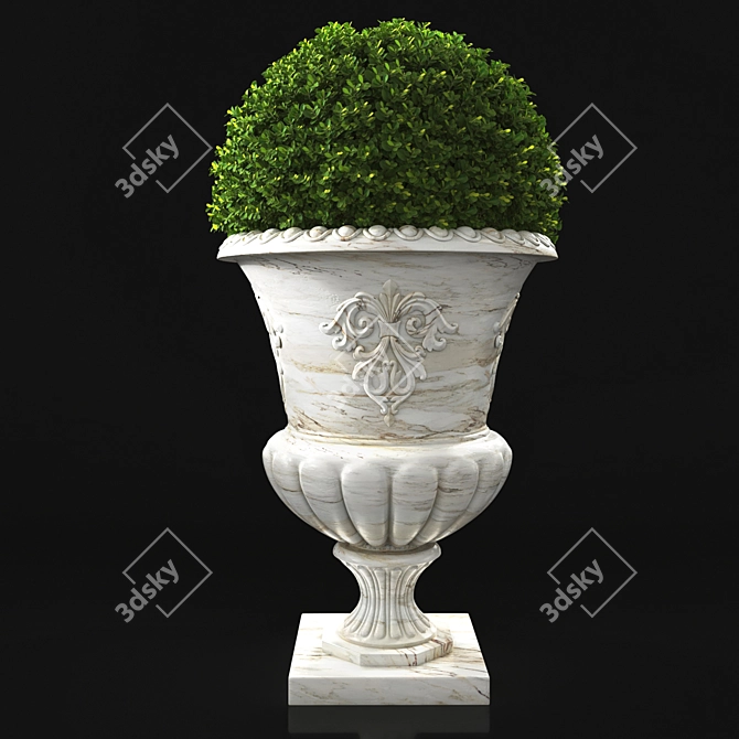 Antique Marble Urn: Boxwood & Cycas Palm 3D model image 3