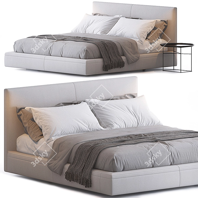 Luxurious Richard Bed by B&B Italia 3D model image 1